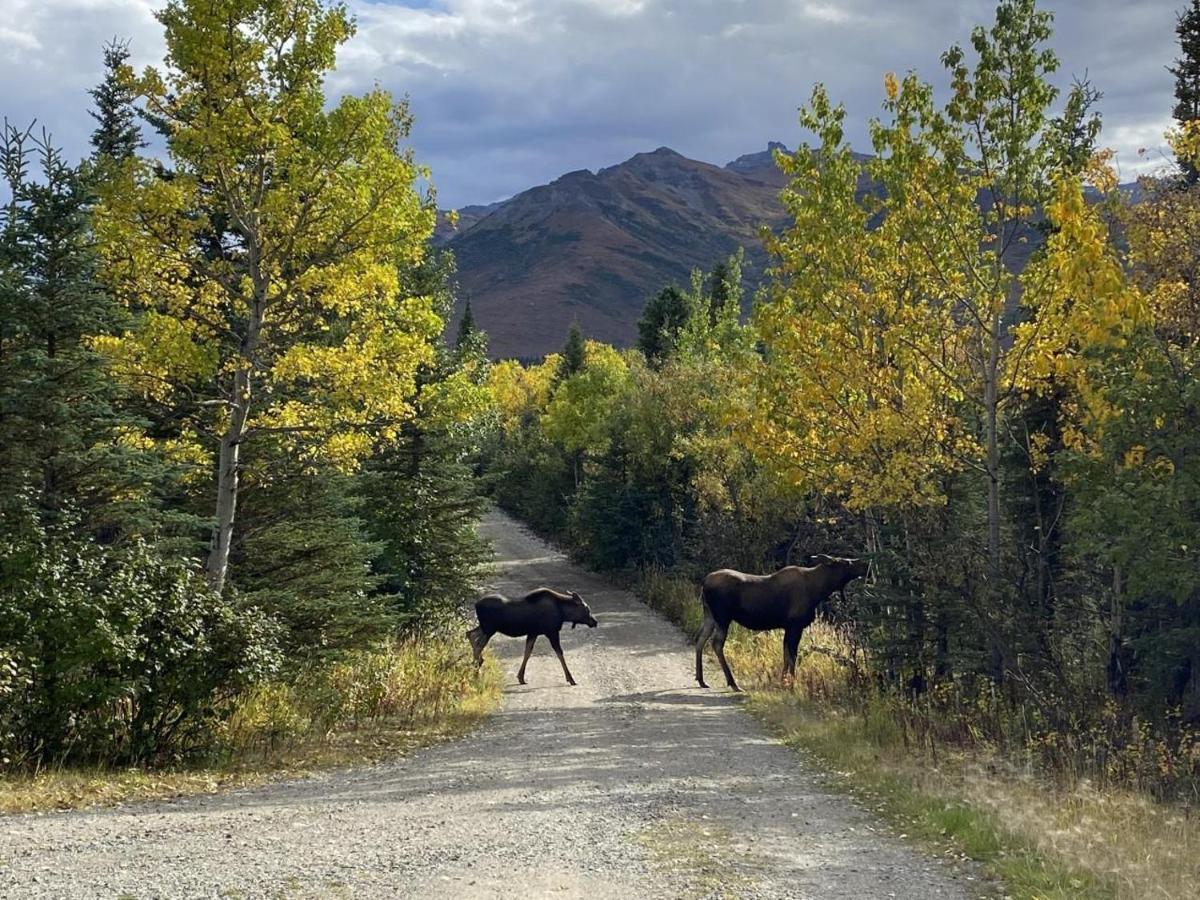 Denali Park View Family Log Cabin Экстерьер фото