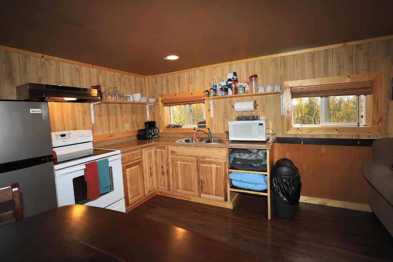 Denali Park View Family Log Cabin Экстерьер фото