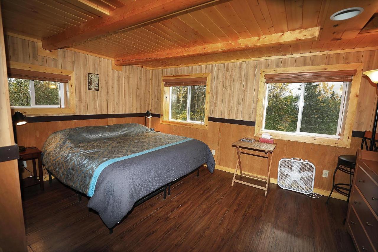 Denali Park View Family Log Cabin Экстерьер фото