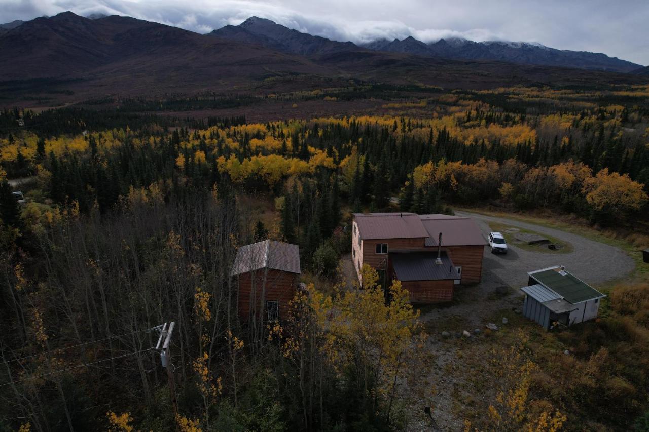 Denali Park View Family Log Cabin Экстерьер фото